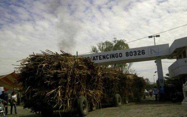 Aprueban CNC y CNPR venta del ingenio de Atencingo