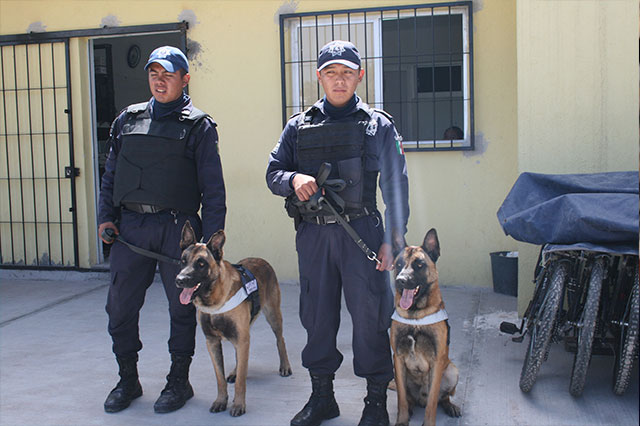 Opera Unidad Canina en Tepeaca para prevenir delitos