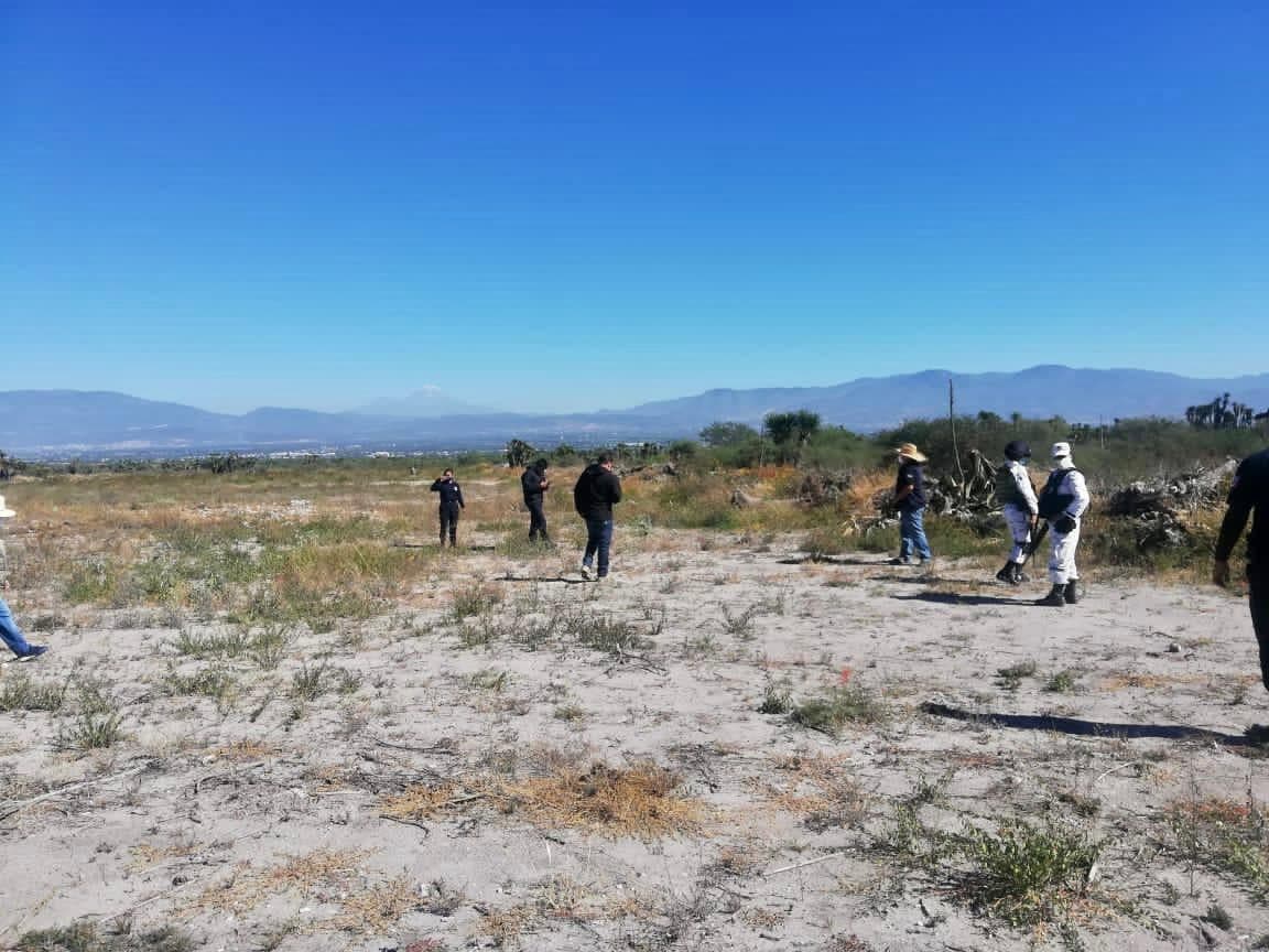 En diciembre aumenta el robo de flora en Reserva de la Biosfera Tehuacán