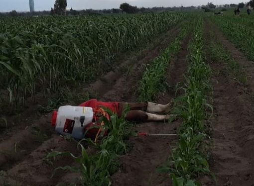 Mientras fumigaba campesino murió intoxicado en Moyotzingo