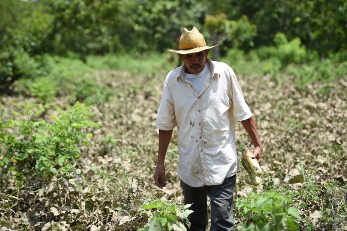 Cabañuelas se usan todavía en Izúcar para pronosticar el clima