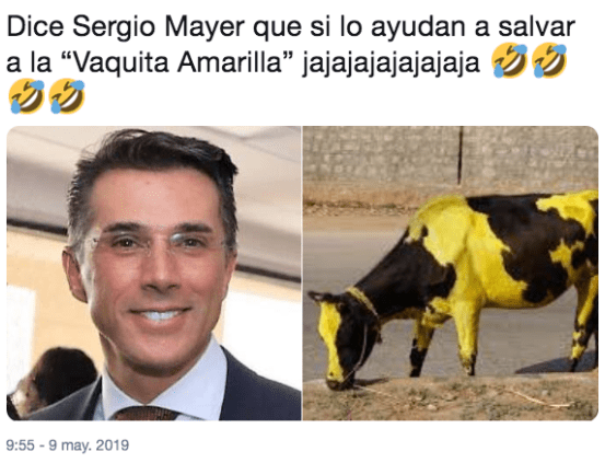 Se burlan de Sergio Mayer por crear la vaquita amarilla