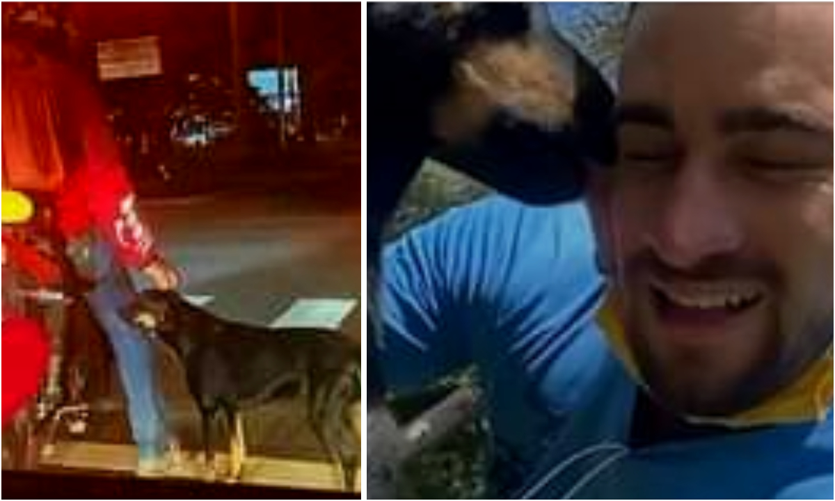Repartidor adopta a perrito que conoció en un crucero