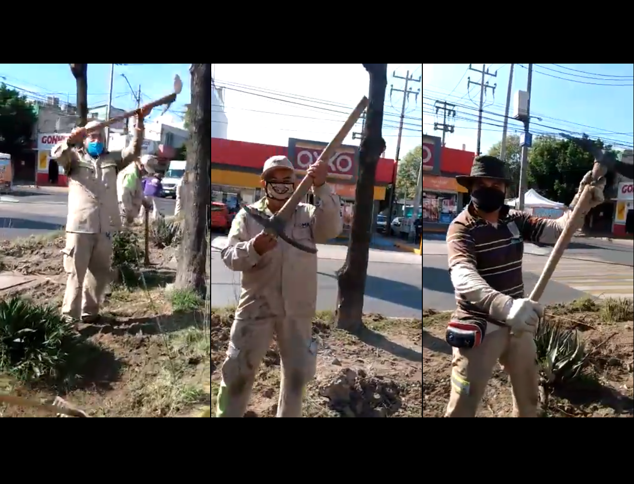 VIDEO Los barrenderos del Mencho en CDMX