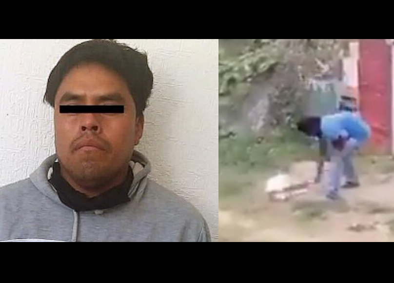 Por comerse sus pollos, Feliciano macheteó una perrita hasta matarla