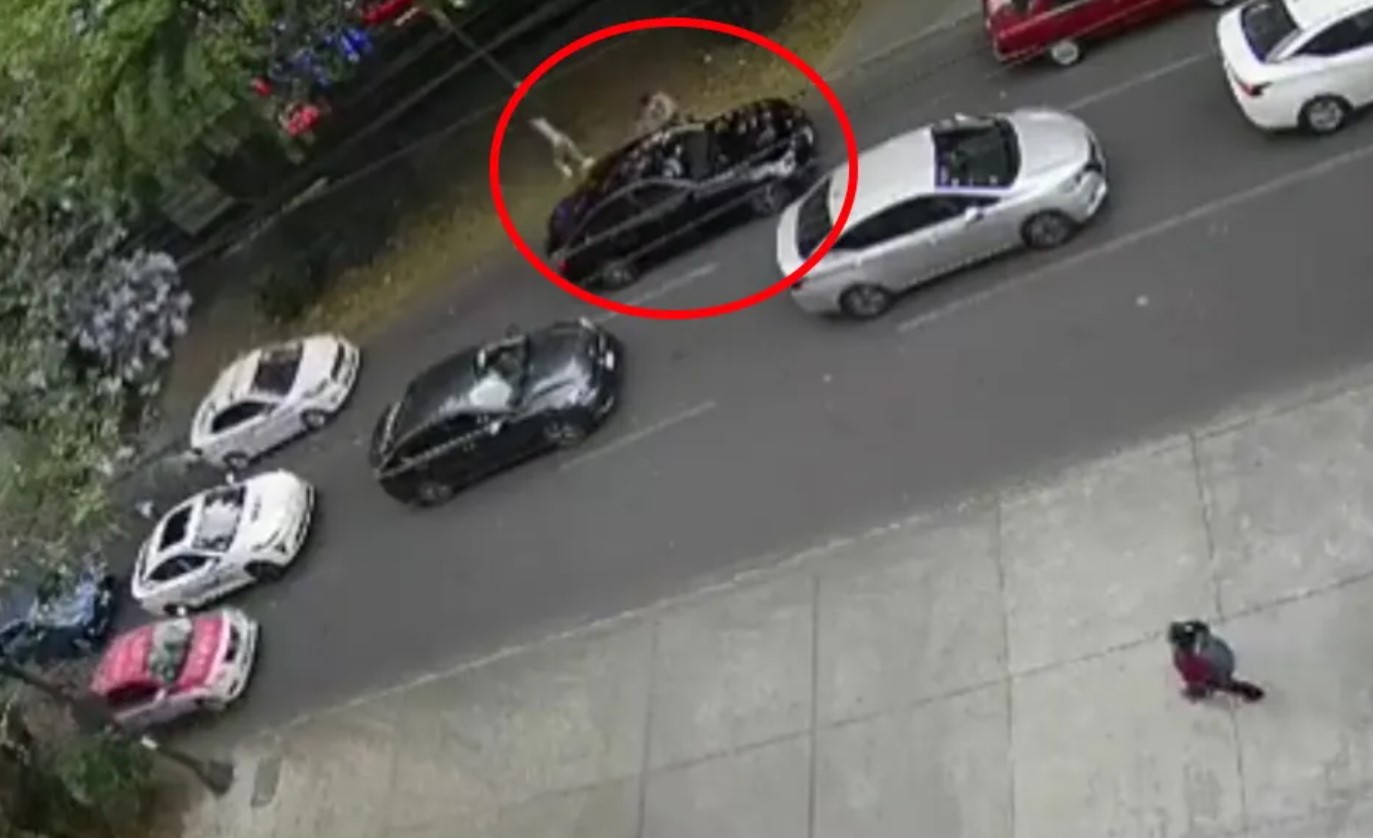 VIDEO Conductor choca al evitar asalto en Polanco