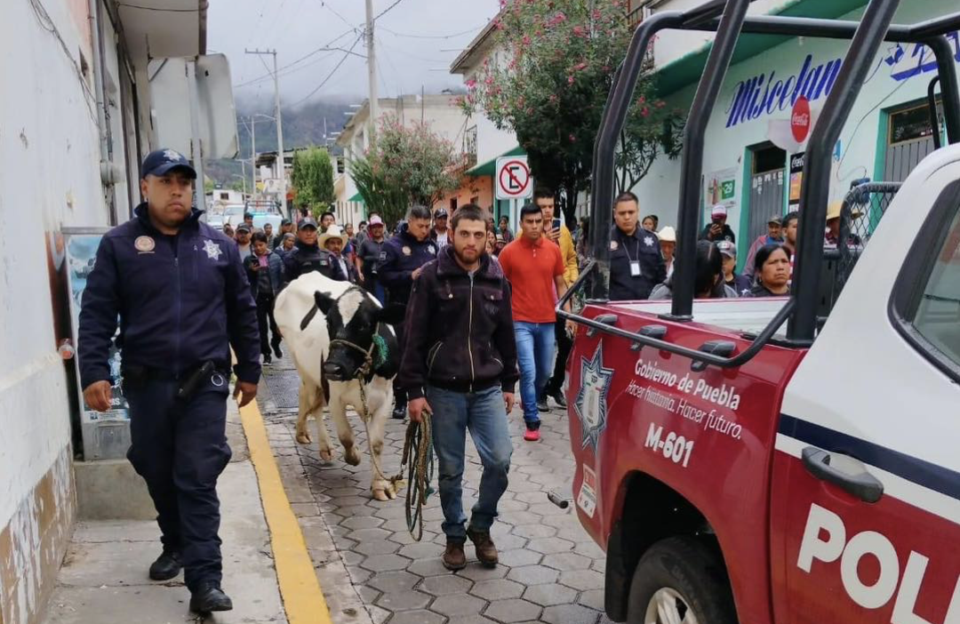 Detienen a dos por robar una camioneta; intentaron lincharlos en Zautla