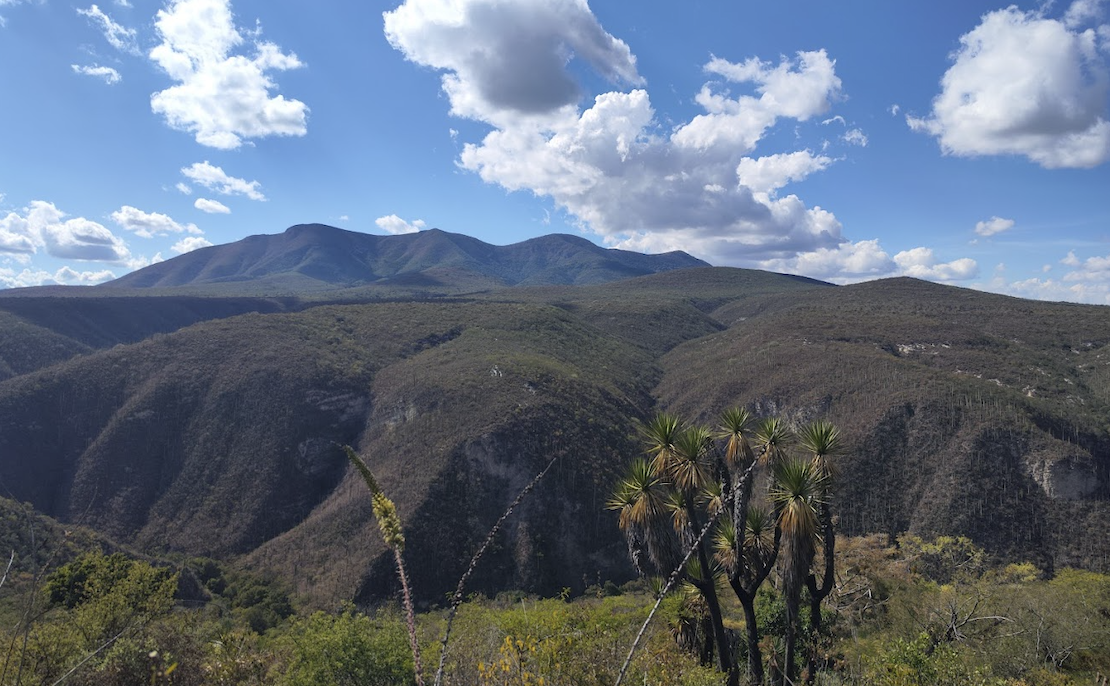 Plantean crear banco de extracción de mármol en la Reserva del Tentzo