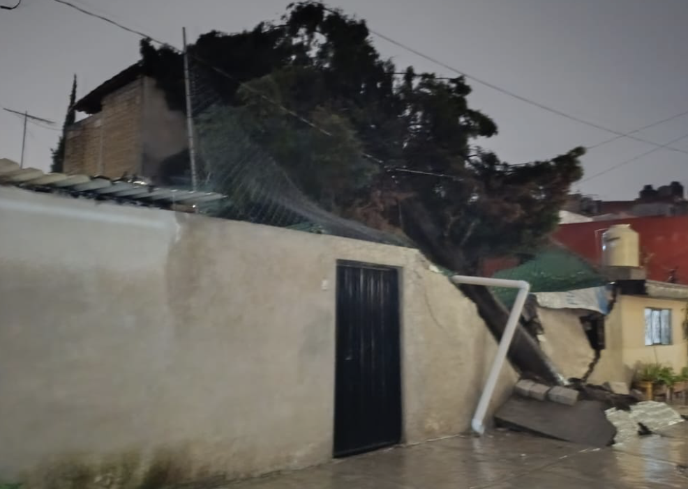 Cae árbol y daña vivienda en San Felipe Hueyotlipan, Puebla