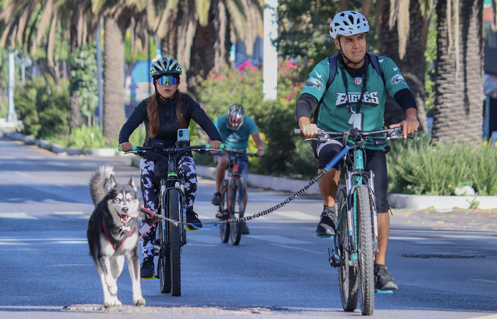 Mañana de deporte y diversión en la Vía Recreativa Metropolitana