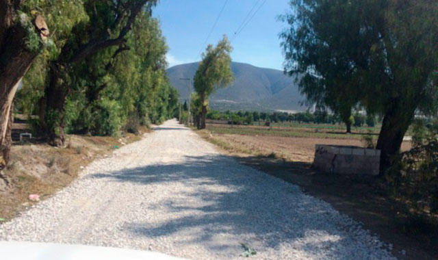 Con apoyo de cementera, pobladores rehabilitan camino ejidal en Palmar de Bravo