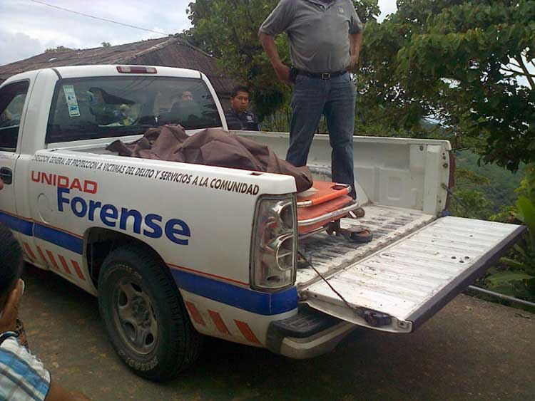 Muere un hombre al que le cayó encima el tronco que talaba