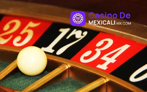 Futuro verde de los casinos online según los datos de casinodemexicali.com.mx