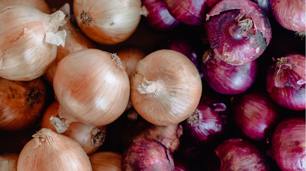 Cebollas mexicanas provocan brote de salmonelosis en EEUU