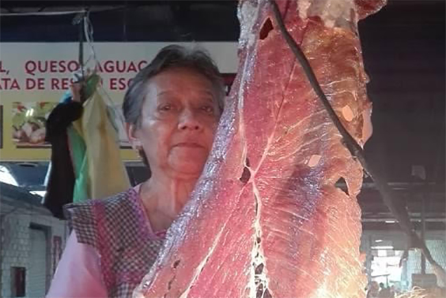 Cecineros de Atlixco piden al turismo ignorar casos falsos de covid