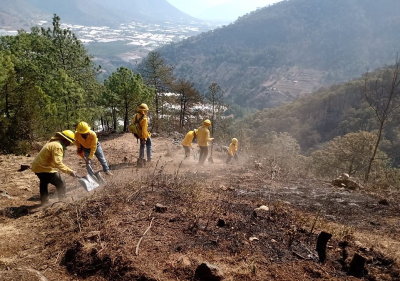 Liquidan al 100% incendio forestal en Aquixtla; dañó 85 hectáreas