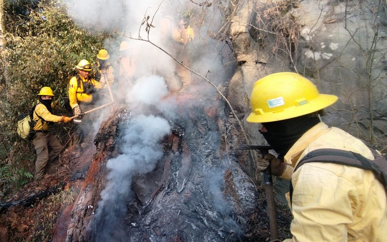 Incendio forestal en Chilchotla, bajo control: Medio Ambiente