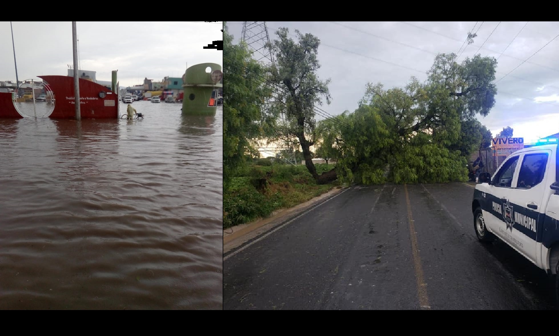 Tromba inunda y derriba árboles en Tepeaca y Cuapiaxtla de Madero