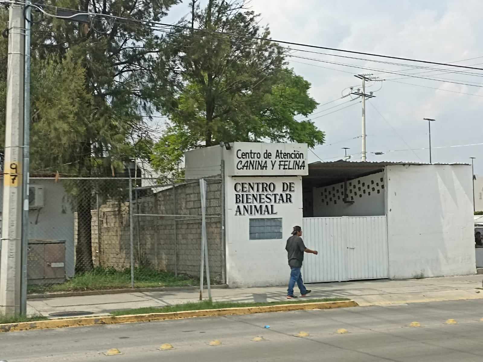 Trabajan autoridades de Tehuacán en proyecto del Hospital Mascota