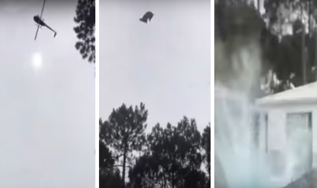 VIDEO Tiran desde helicóptero a cerdo en alberca de millonario