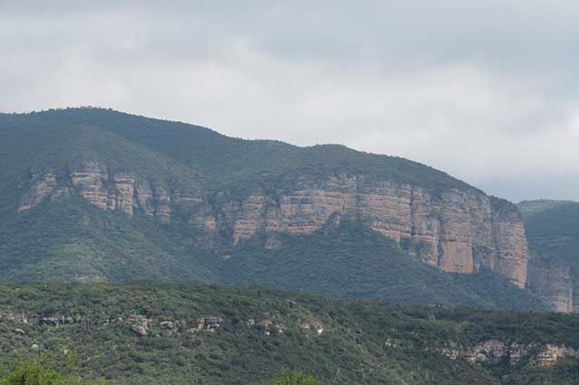 Asentamientos humanos dañan 100 hectáreas del Cerro Colorado