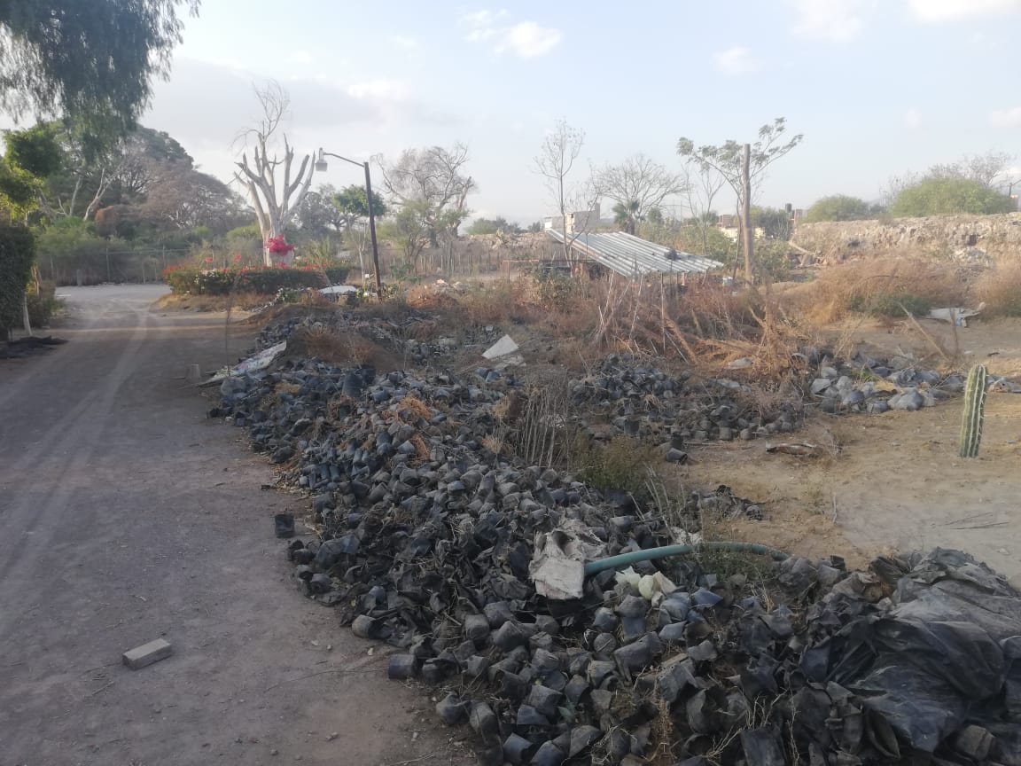 Interpone Igavim denuncia por daño en el Parque El Riesgo en Tehuacán