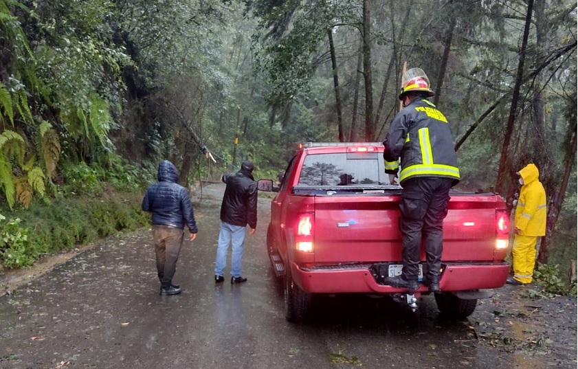 Grace dejó sin electricidad a 227 mil poblanos, reporta la CFE