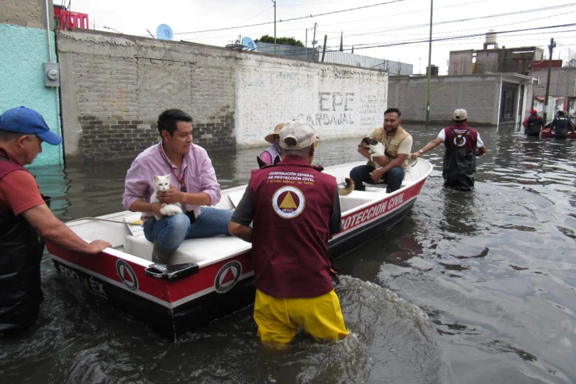 VIDEO Alcalde de Chalco pide que se declare estado de emergencia