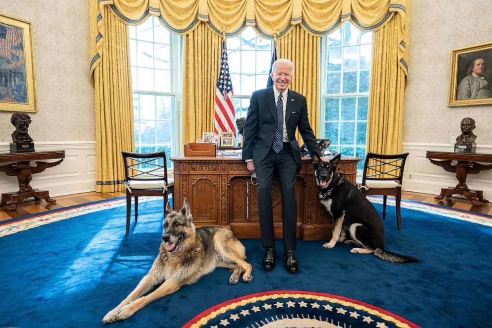 Biden regala a su perro Major tras morder al personal de la Casa Blanca