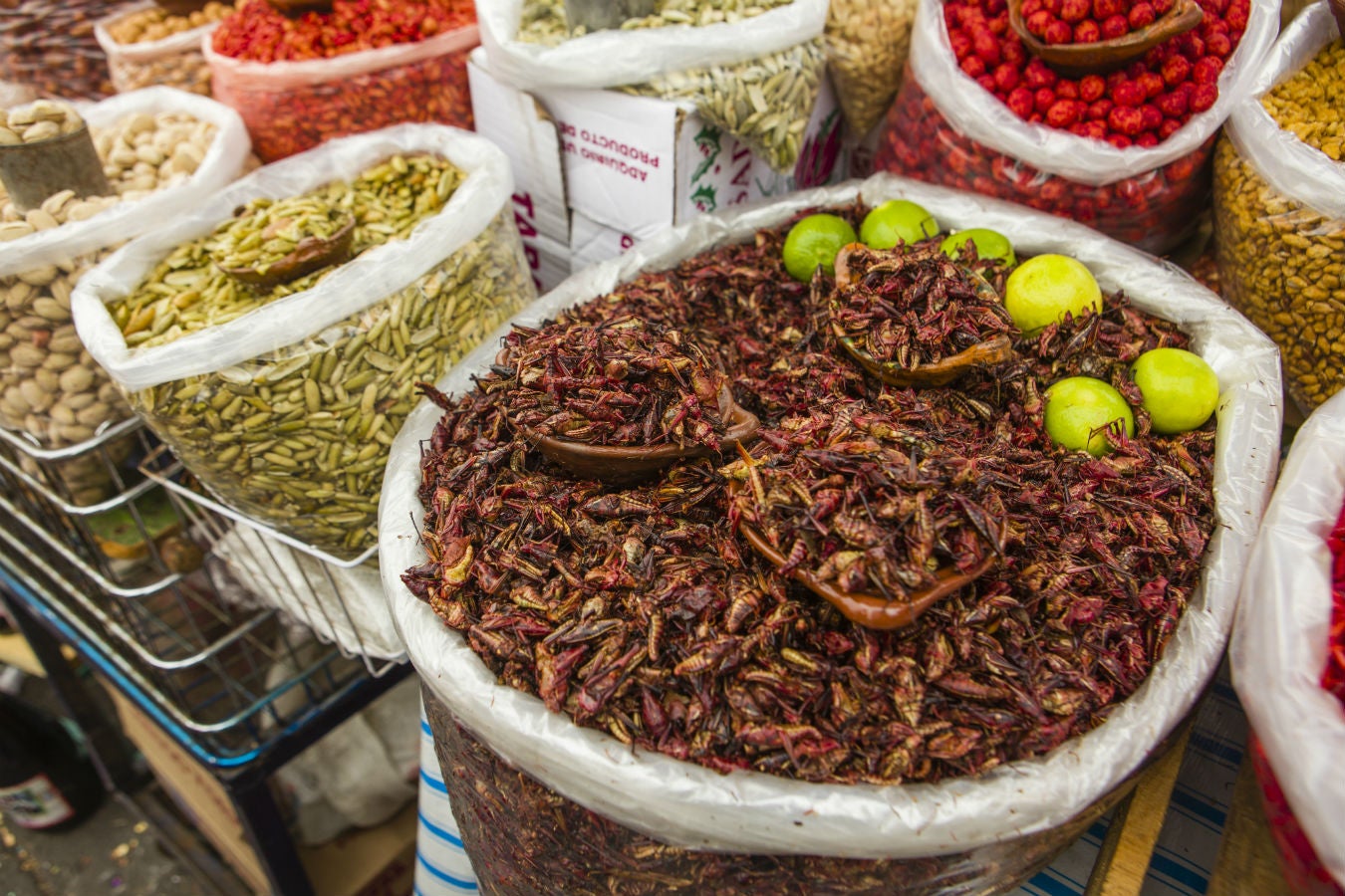 Llegó La Temporada De Cuetlas Y Chapulines En Izúcar | Municipios ...