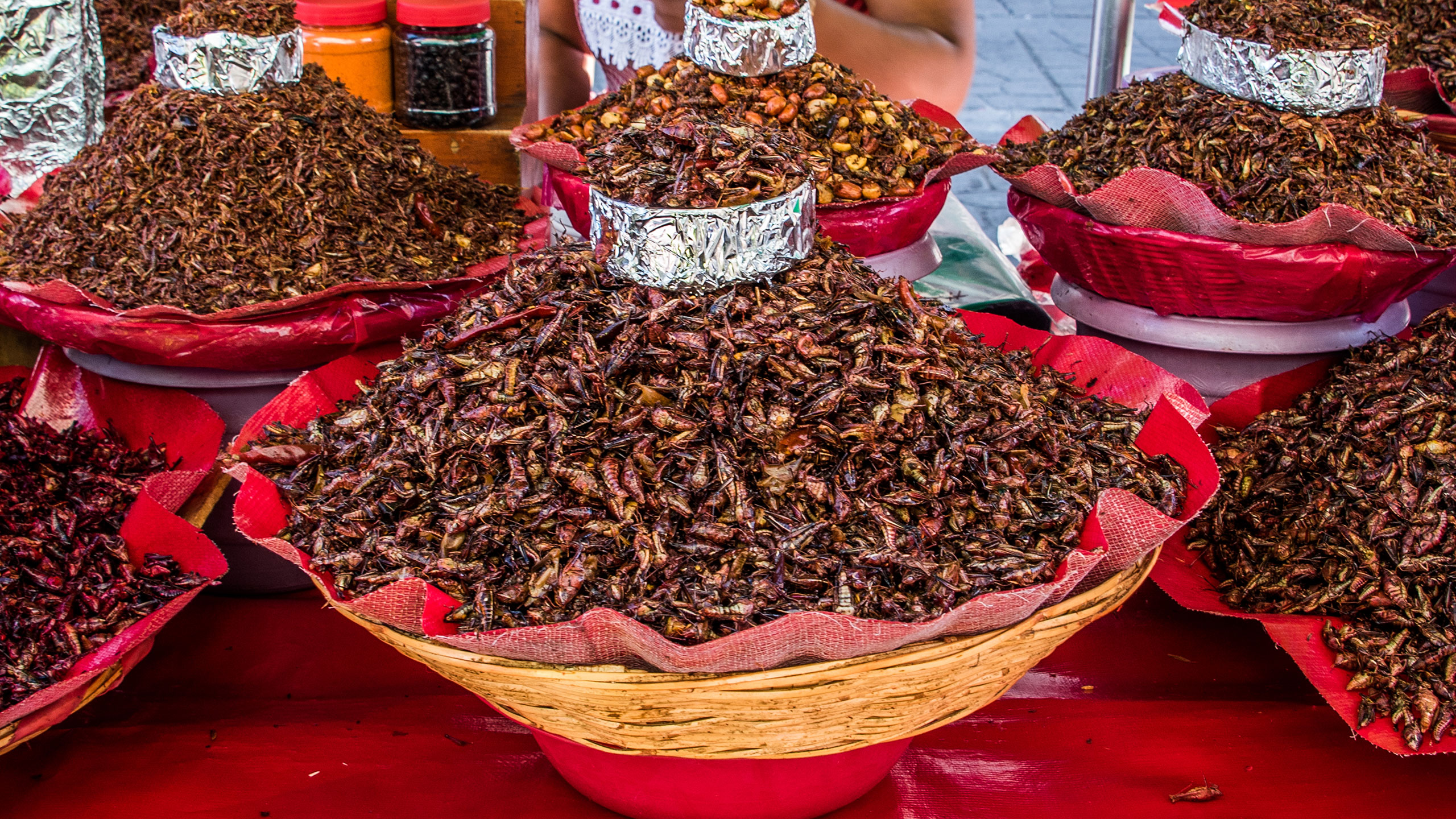 Insectos deliciosos y nutritivos que puedes comer en México