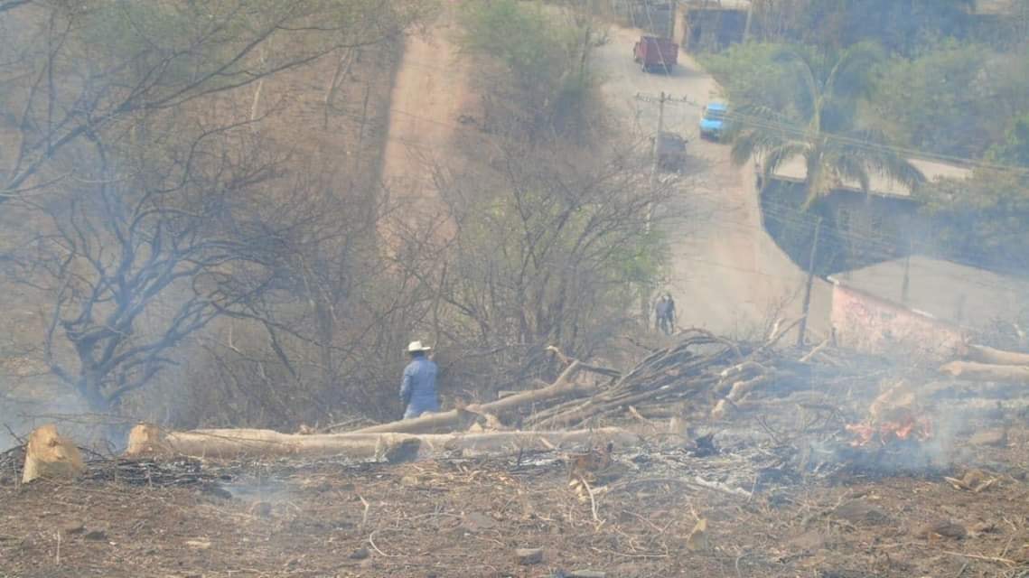 Ciudadanos reportan quema de árboles en Chiautla