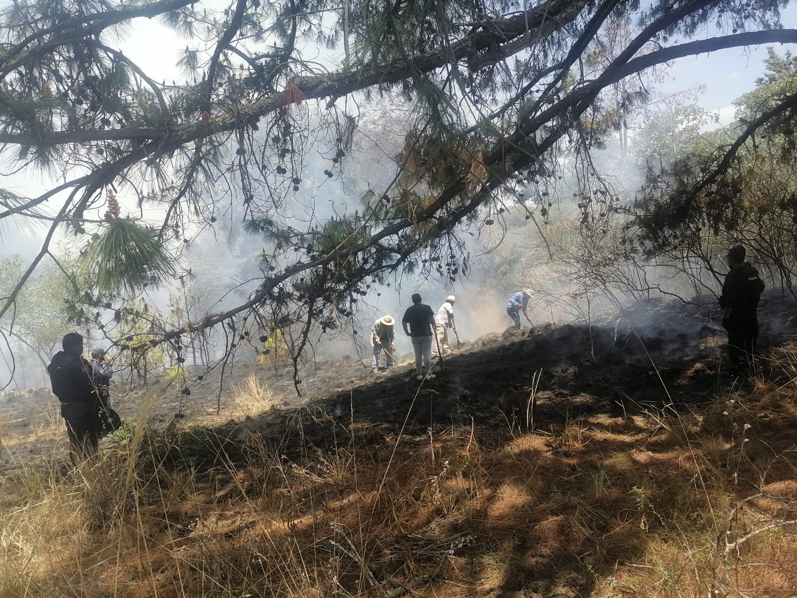 Vecinos y brigadistas sofocan incendio forestal en Chiautzingo