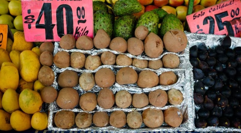 Su majestad, el chicozapote