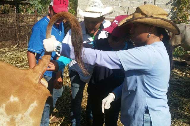 Combaten el derriengue en Chietla con campaña de vacunación