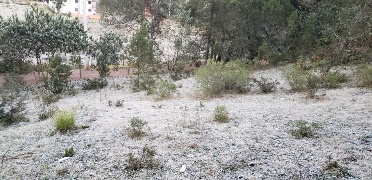 Frío congela tuberías de agua y gas en Chignahuapan