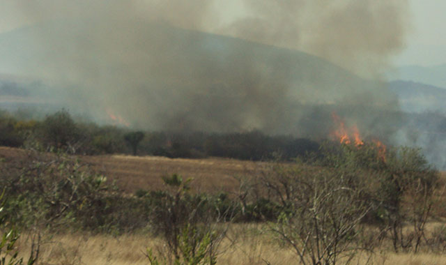 Continúa tras 48 horas incendio en bosque del municipio de Chila de las Flores