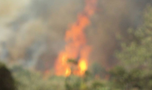 Continúa tras 48 horas incendio en bosque del municipio de Chila de las Flores