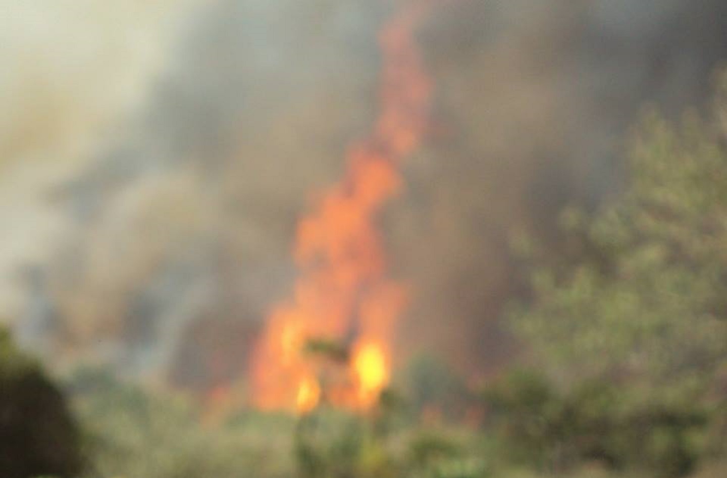 Continúa tras 48 horas incendio en bosque del municipio de Chila de las Flores