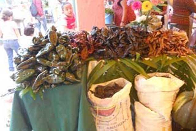 Granizo dañó el 40 % de producción de chile en Tlanalapan