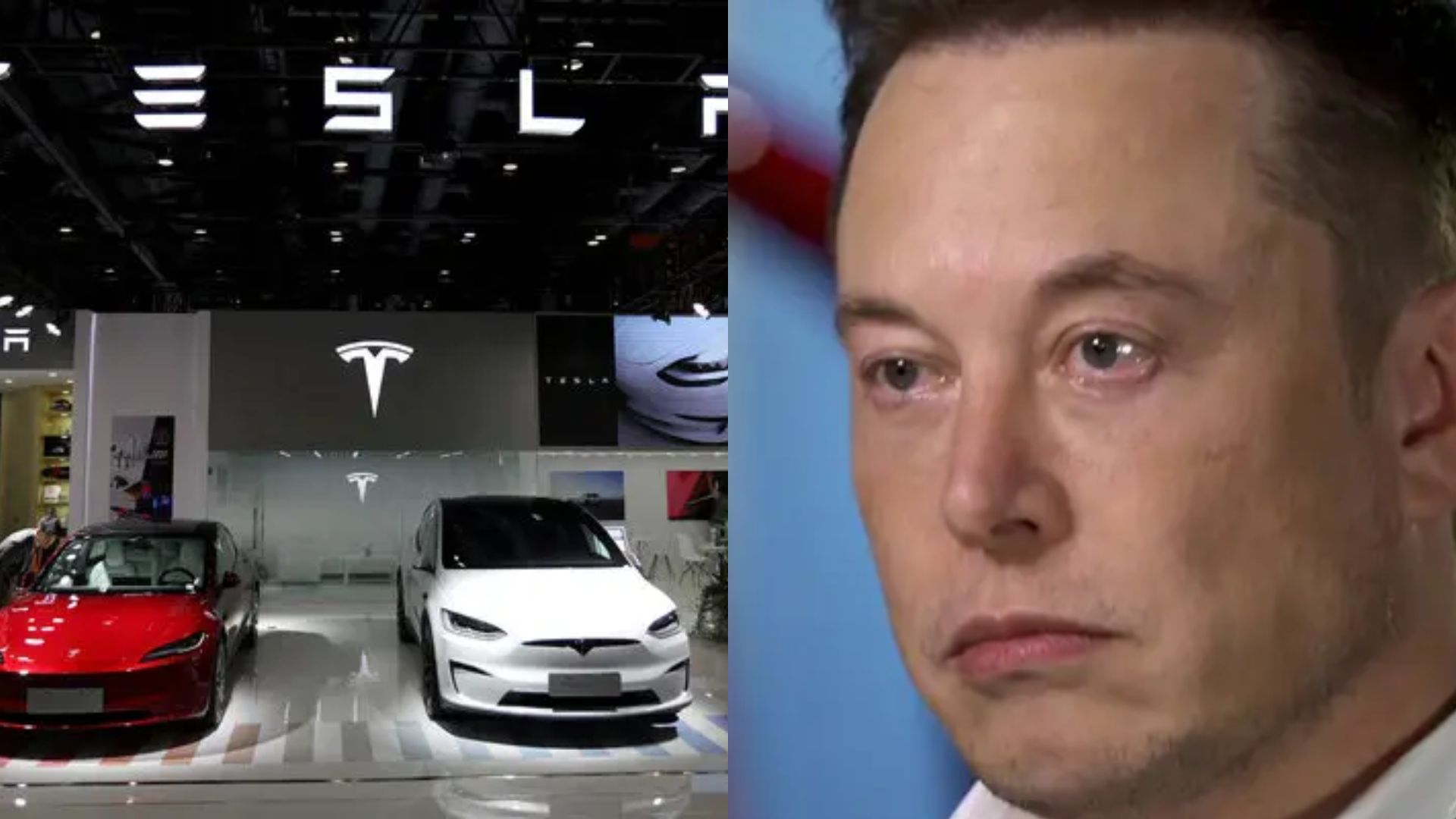 Por aranceles de Trump, Tesla es obligada a no recibir pedidos de China 