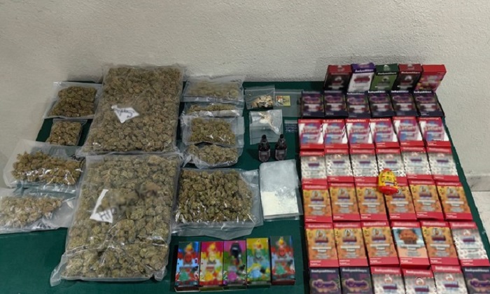 Aseguran 13 envíos en Querétaro con marihuana, coca, LSD y hongos alucinógenos