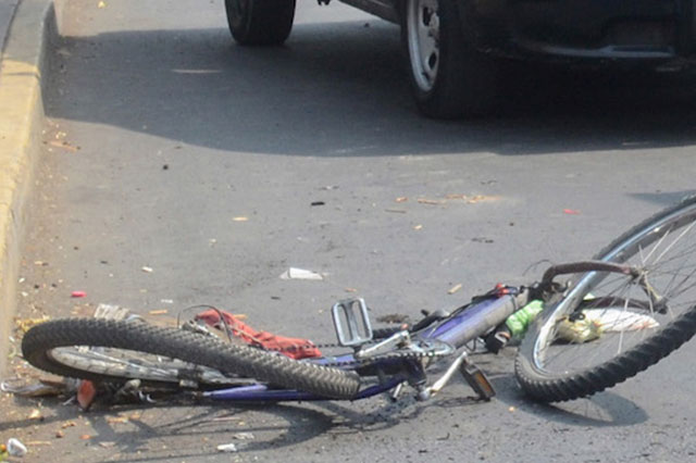 Galgo del Sur mata a ciclista en la 11; activista y funcionario municipal