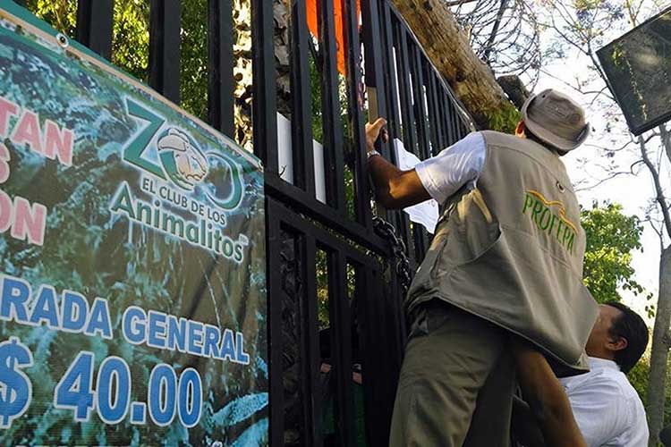 Cierra PROFEPA zoo de Tehuacán, no habrá decomisos