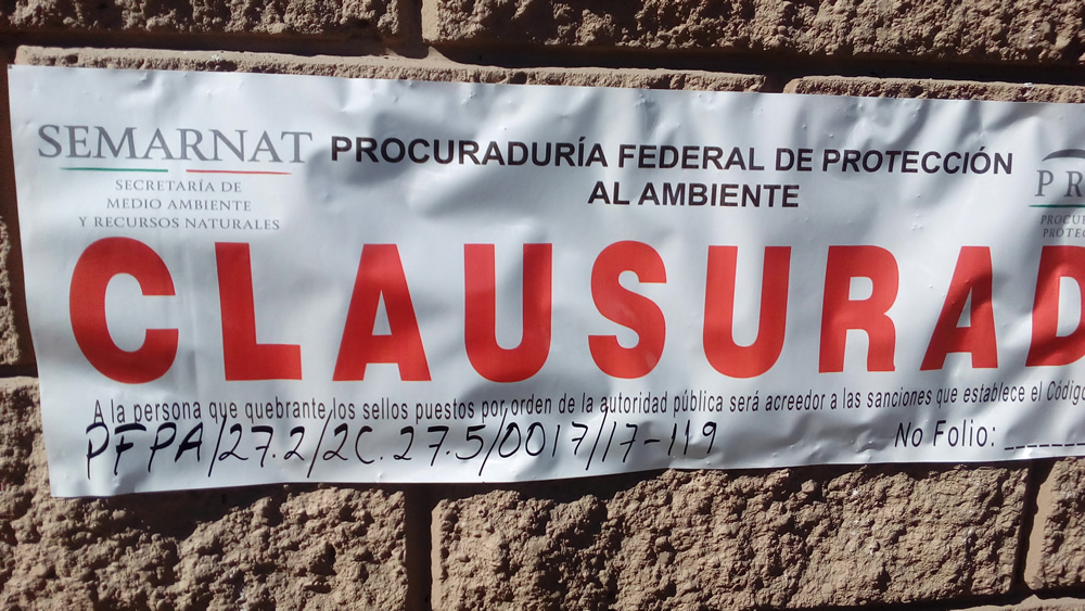 Clausuran barda en Lomas de Angelópolis, sin autorización federal: Profepa