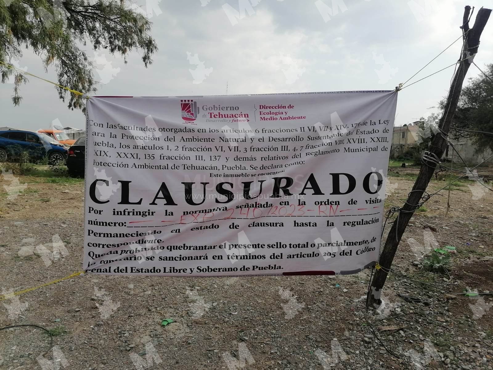 Clausura Ecología predio por derribo ilegal de árboles en Tehuacán