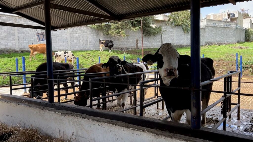 UNAM contribuye a resolver problemas de dopaje no intencional