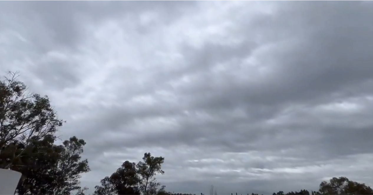 VIDEO Mañana fría y con niebla en la ciudad de Puebla