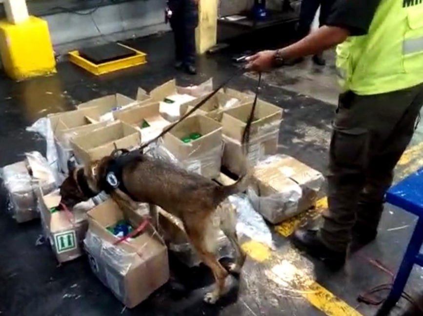 Aseguran en aeropuerto de México cocaína colombiana