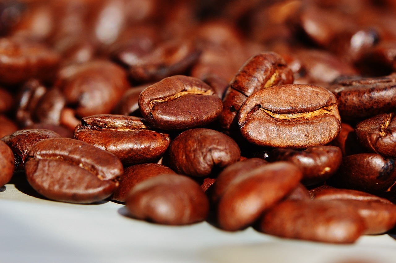 Cae producción de café en la Sierra Norte de Puebla